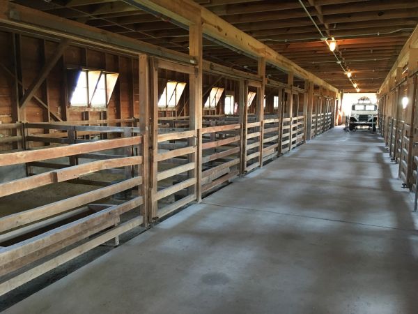Barn Slab Construction in Conway