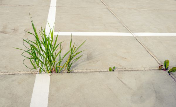 Concrete Parking Installation in Conway