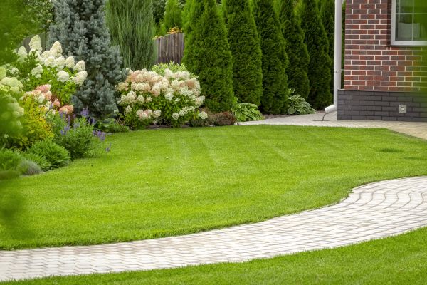 Landscape Walkway Installation in Conway